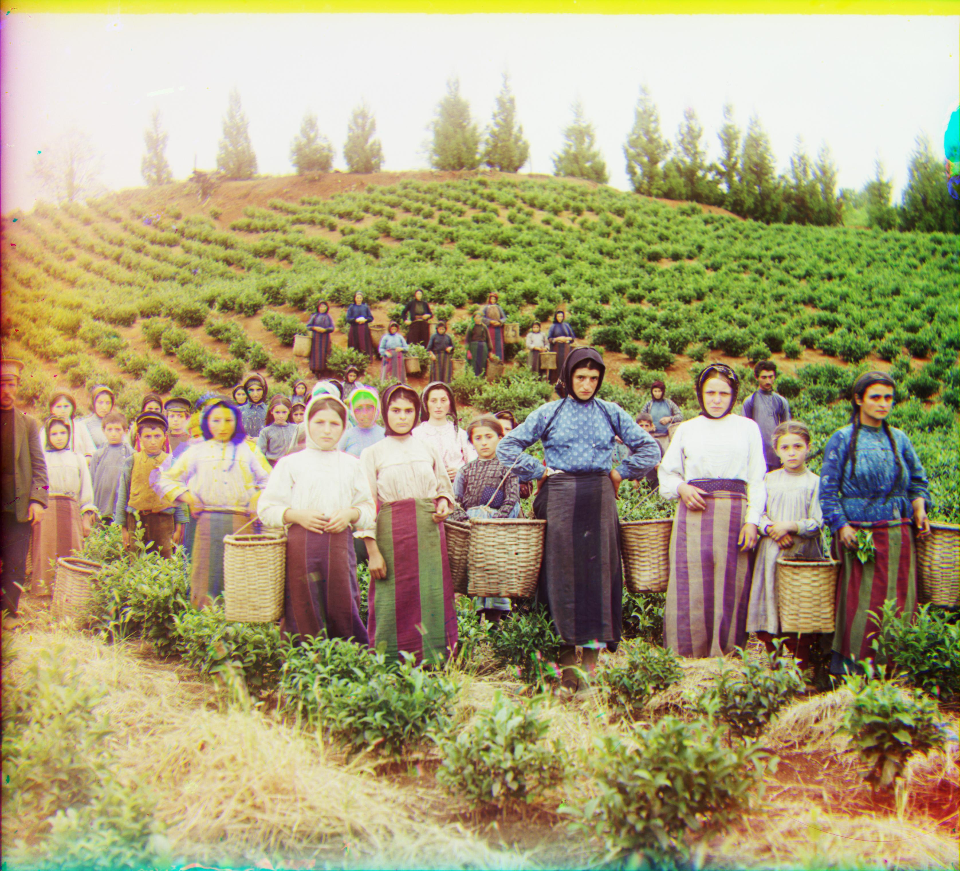 input: `harvesters.tif`, green: (60, 17), red: (124, 14)