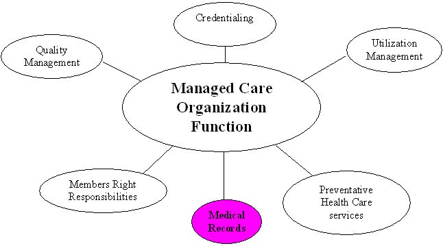 Kaiser Permanente Organizational Structure Chart