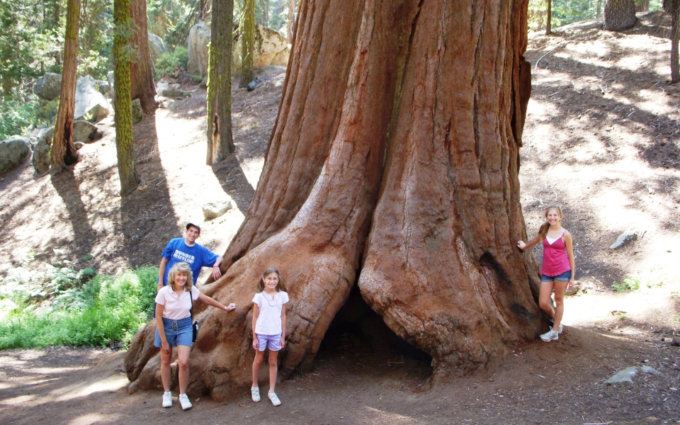 Mike Christel family at Sequoia National Park, 2008