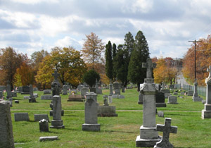 St. John's Nepomucene Old Cemetery