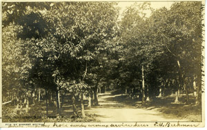 Picnic ground, Upper Lehigh, circa 1906