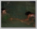 dsc01214__small_.jpg