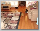 dsc01218__small_.jpg