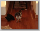 dsc01219__small_.jpg
