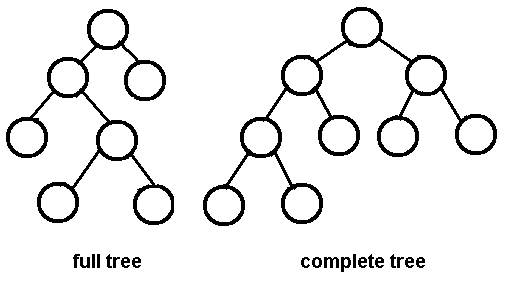 Binary Trees