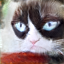 No description has been provided for this image