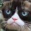 No description has been provided for this image
