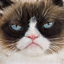 No description has been provided for this image