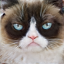 No description has been provided for this image