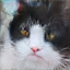 No description has been provided for this image