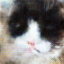 No description has been provided for this image