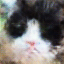 No description has been provided for this image