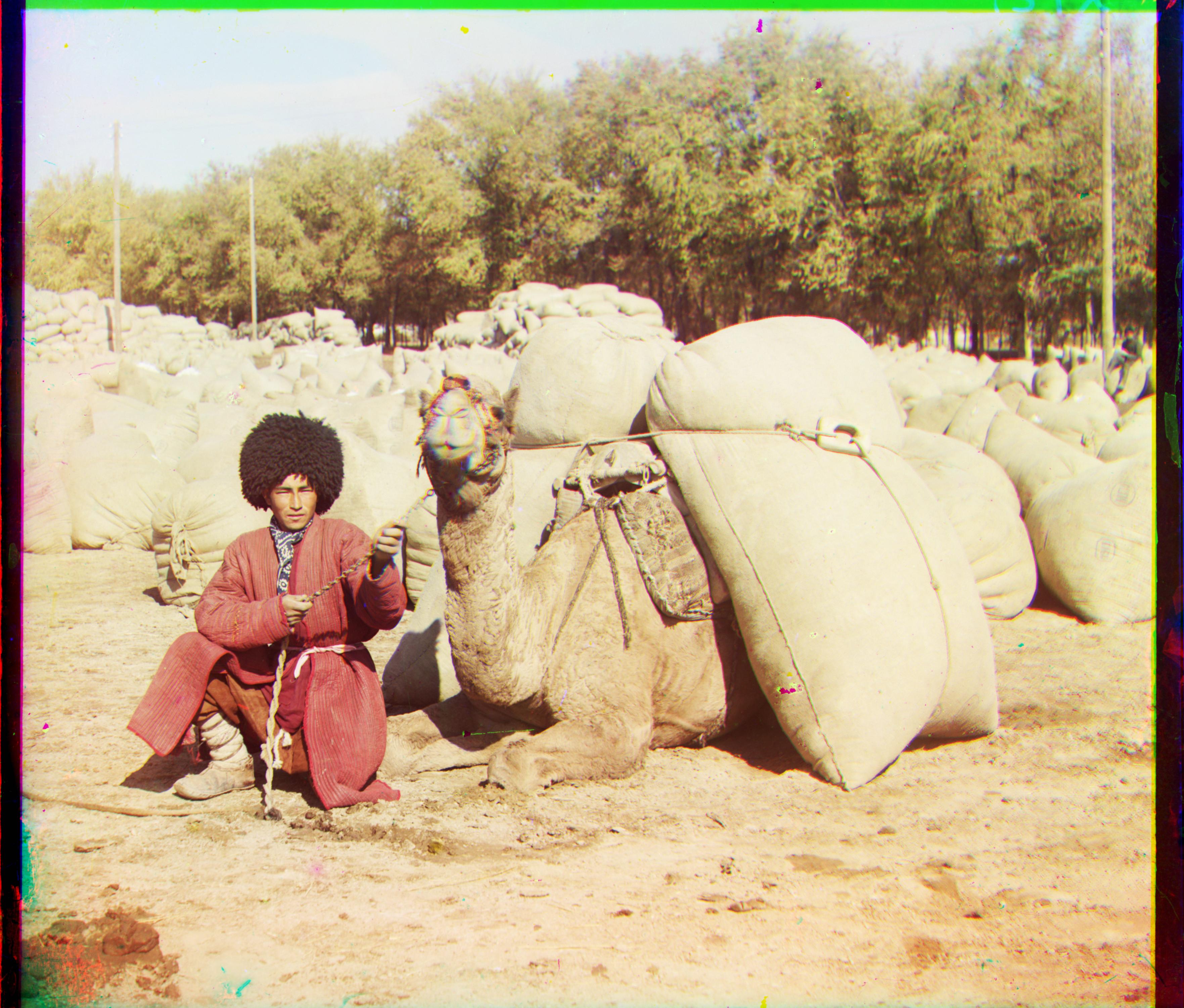 Turkmen tif
