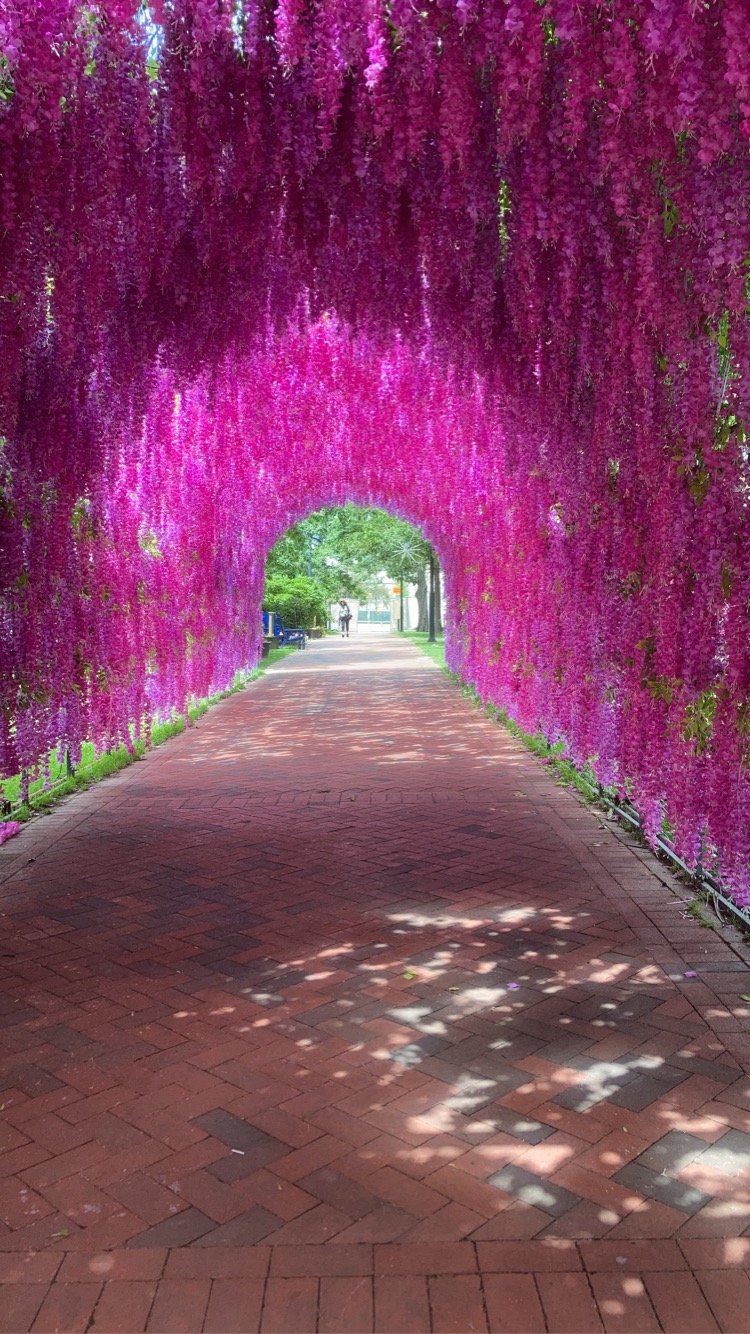 Tunnel