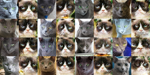 cat_dc-X-Y