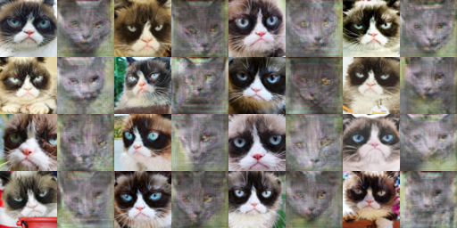 cat_dc-Y-X