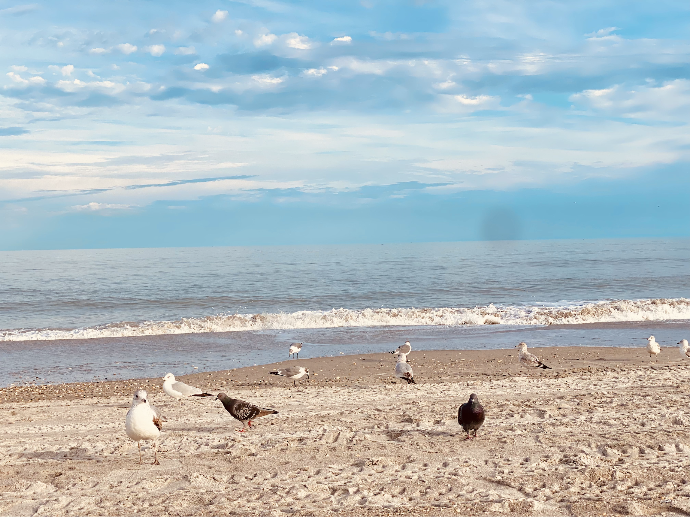 Photograph taken in Cocoa Beach
