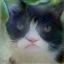 No description has been provided for this image