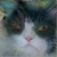 No description has been provided for this image