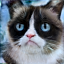 No description has been provided for this image