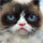 No description has been provided for this image