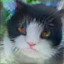 No description has been provided for this image