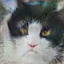 No description has been provided for this image