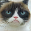No description has been provided for this image