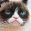 No description has been provided for this image