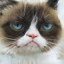 No description has been provided for this image