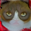 No description has been provided for this image