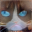 No description has been provided for this image