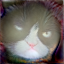 No description has been provided for this image