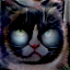 No description has been provided for this image