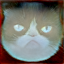 No description has been provided for this image