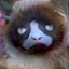 No description has been provided for this image