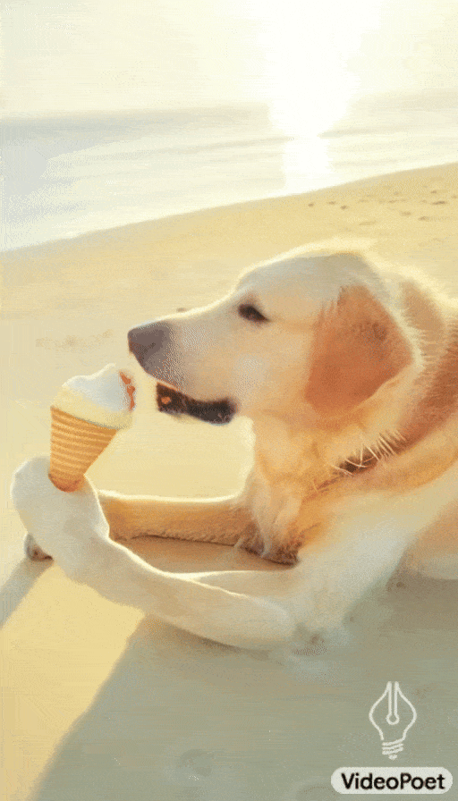 bbt