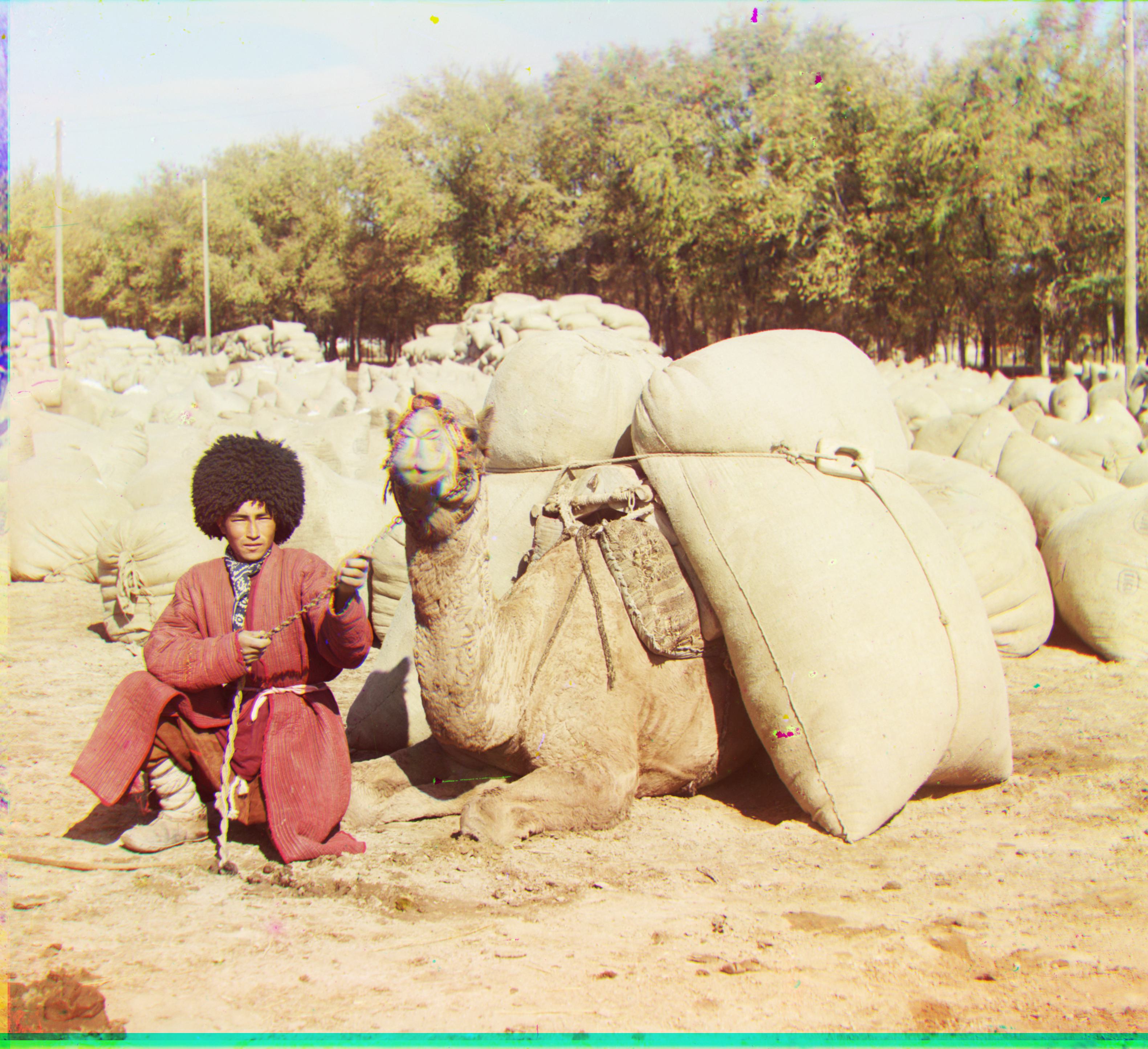 Turkmen