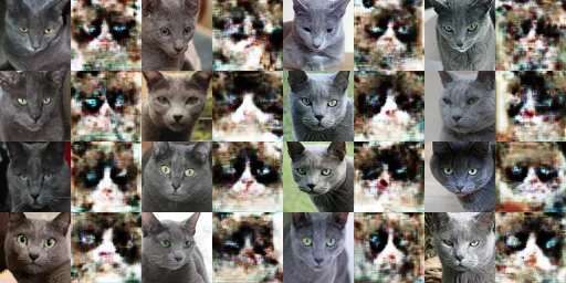 5000 iterations of X -> Y