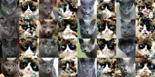 10000 iterations of X -> Y