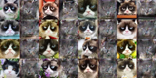 10000 iterations of Y -> X