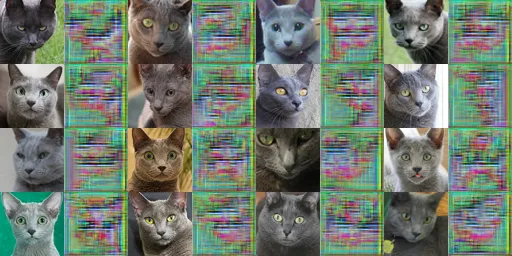 5000 iterations of X -> Y