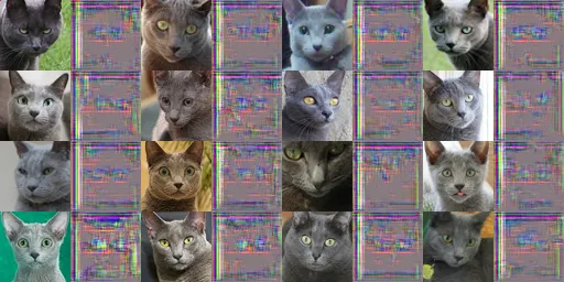 10000 iterations of X -> Y