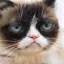 /src/assets/assgn5/l1_tests/0_stylegan_w+_0.2_0.2_1000.png