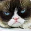 /src/assets/assgn5/l1_tests/0_stylegan_w+_0.2_0.8_1000.png