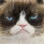 /src/assets/assgn5/l1_tests/0_stylegan_w+_0.2_10_1000.png