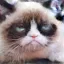 /src/assets/assgn5/l1_tests/0_stylegan_w+_0.2_1_1000.png