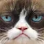 /src/assets/assgn5/latent/0_stylegan_z_0.2_1000.png
