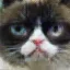 /src/assets/assgn5/model/0_vanilla_z_0.2_1000.png