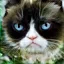 /src/assets/assgn5/l1_tests/1_stylegan_w+_0.2_0.2_1000.png